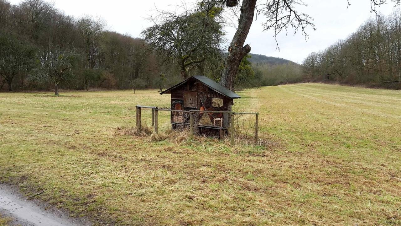 Haus Mit Seele Im Nahetal Weinsheim  Exterior photo