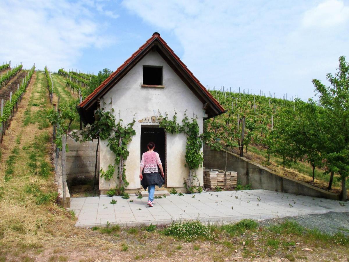 Haus Mit Seele Im Nahetal Weinsheim  Exterior photo